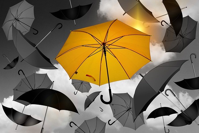 spleet metriek Mexico Regent het? laat uw paraplu's bedrukken bij parapluman.nl