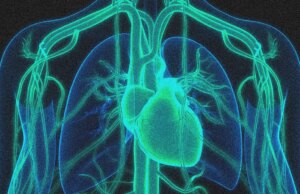 Een genbewerkingstherapie halveert het cholesterolgehalte