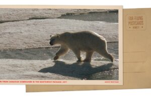 IJsbeer op ijs in poolcirkel: NPR